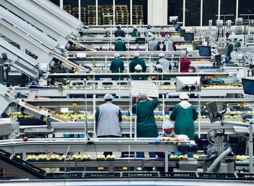 La industria alimentaria está viviendo su mayor bajada de precios desde 2014. Hay un sospechoso claro: las marcas blancas